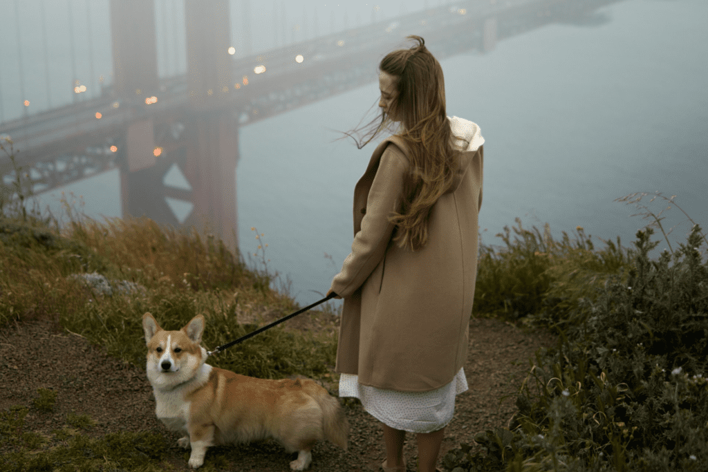 in home veterinary euthanasia services